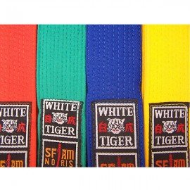 Ceinture piquée couleur White Tiger Noris