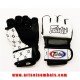 Gants de Combat Libre Fairtex V17 - noir